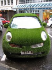 Автомобиль из травы