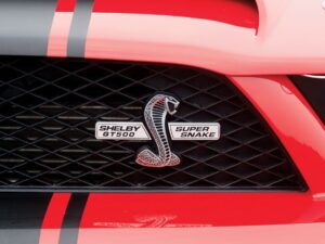 Решетка с шильдиком Shelby GT500 Super Snake