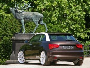 Audi A1 от Senner Tuning — вид сзади