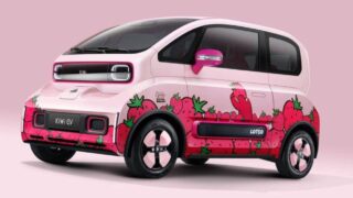 KiWi EV Strawberry Bear Limited Edition