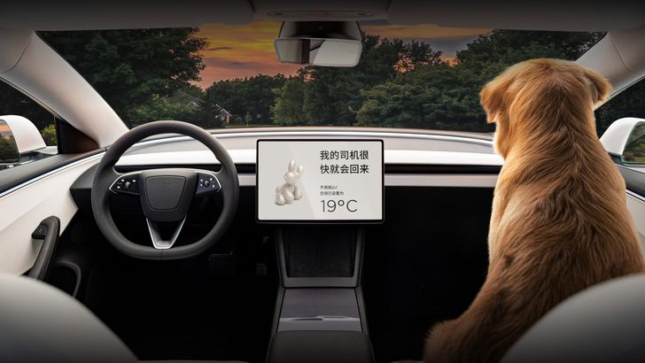Tesla вернула своей самой дешевой модели полезную опцию